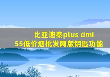 比亚迪秦plus dmi 55(低价烟批发网)版钥匙功能